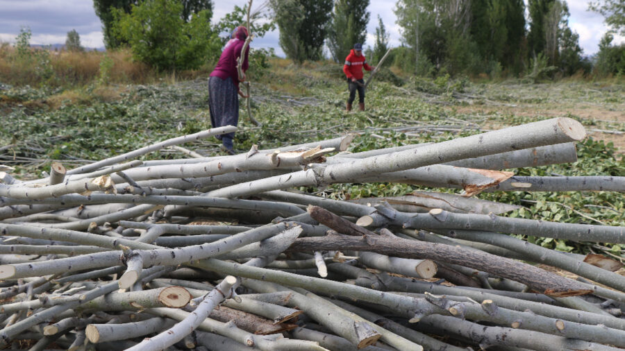 Erzincan kırsalında kış mesaisi